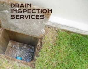 Drain inspection services